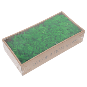 Naturalny zielony mech chrobotek 500g w opakowaniu. Idealny materiał dekoracyjny i podkład florystyczny do nowoczesnych aranżacji wnętrz oraz ścian.