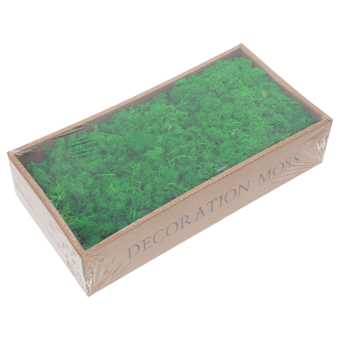 Naturalny zielony mech chrobotek 500g w opakowaniu. Idealny materiał dekoracyjny i podkład florystyczny do nowoczesnych aranżacji wnętrz oraz ścian.