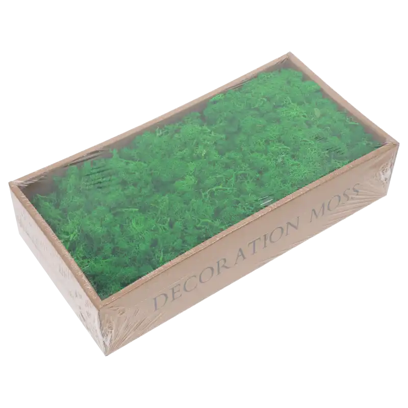 Naturalny zielony mech chrobotek 500g w opakowaniu. Idealny materiał dekoracyjny i podkład florystyczny do nowoczesnych aranżacji wnętrz oraz ścian.