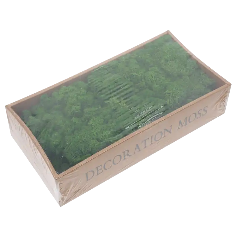 Ciemnozielony mech chrobotek 500g w estetycznym pudełku. Naturalny chrobotek reniferowy w głębokim odcieniu zieleni, gotowy do tworzenia dekoracji florystycznych.