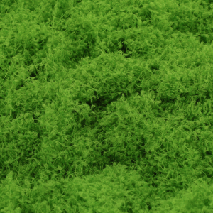 Zbliżenie na teksturę jasnozielonej włóczki florystycznej, która naturalnie imituje runo leśne w kompozycjach.