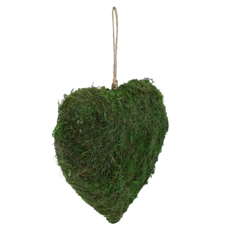 Zbliżenie na zielone serce z mchu o średnicy 20 cm, prezentujące naturalną strukturę i realistyczny wygląd.