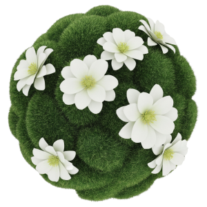 Kula z mchu 30 cm ozdobiona białymi kwiatami. Kompozycja prezentuje wszechstronność produktu jako bazy do projektów florystycznych. Elegancki dodatek do jasnych wnętrz.