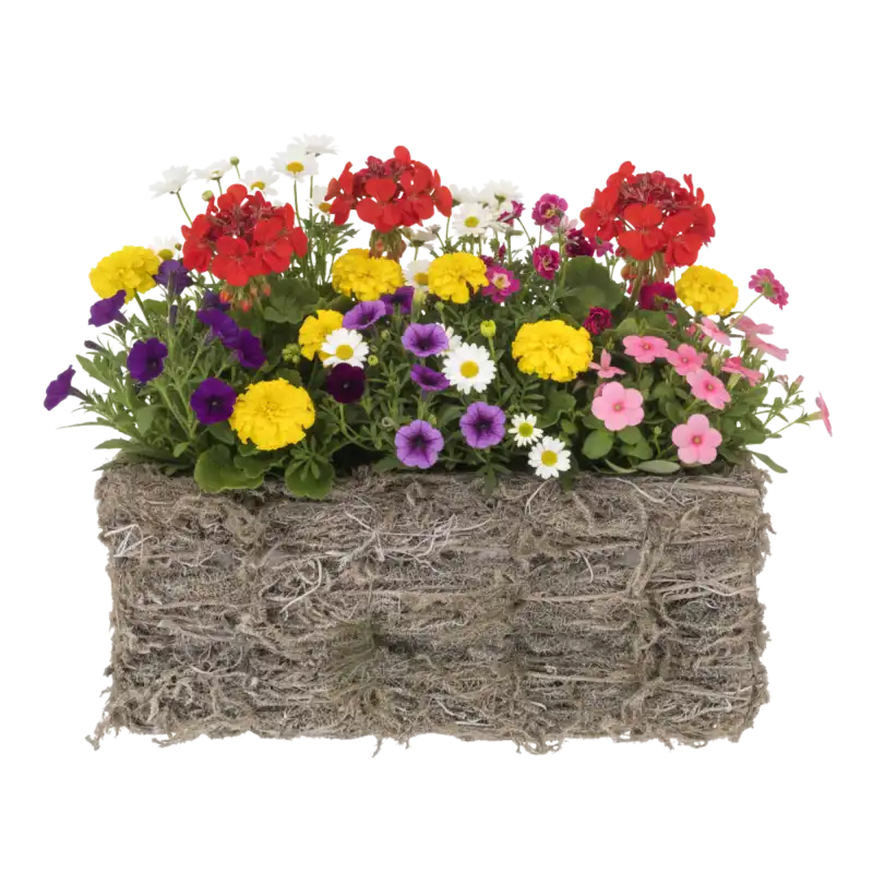 Prostokątna osłonka z siana o wymiarach 30x15 cm, wypełniona kolorową kompozycją z kwiatów, widok z przodu na białym tle.
