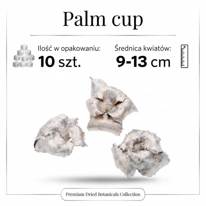 Grafika informacyjna prezentująca susz egzotyczny Palm cup w zestawie 10 sztuk o średnicy kwiatów od 9 do 13 centymetrów.