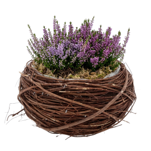 Okrągła osłonka z patyków z wrzosami i mchem wewnątrz, prezentująca naturalny styl dekoracji florystycznej.