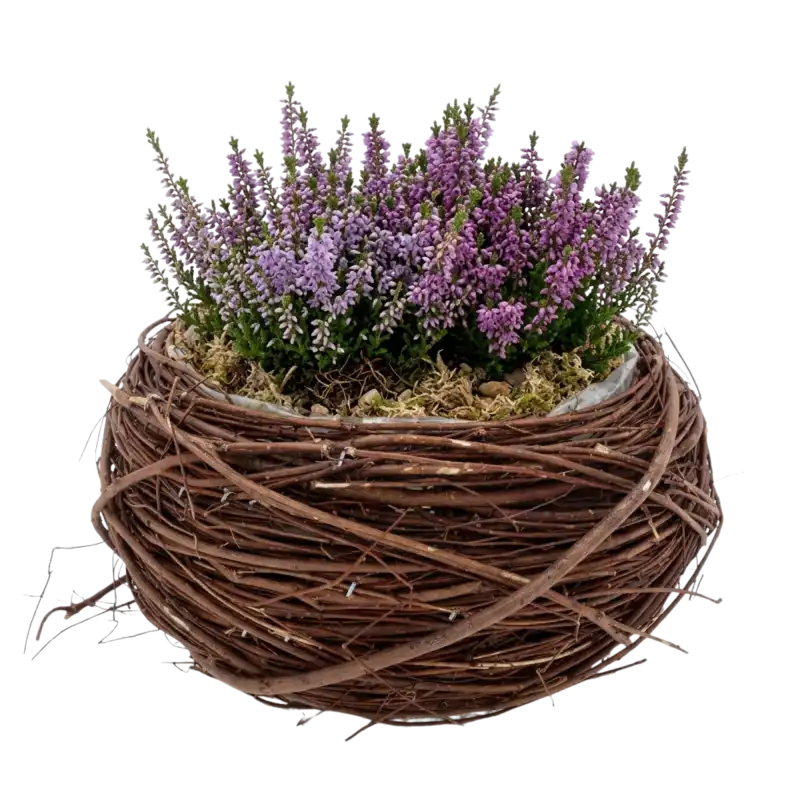 Okrągła osłonka z patyków z wrzosami i mchem wewnątrz, prezentująca naturalny styl dekoracji florystycznej.