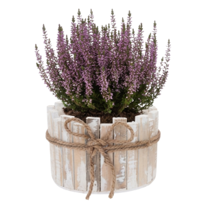 Drewniana osłonka z kory 18 cm z białą orchideą na jasnym blacie łazienkowym, obok złożonych ręczników.