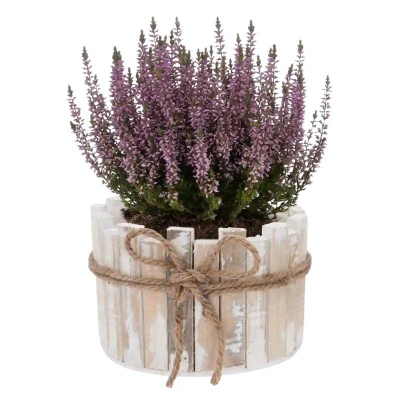 Drewniana osłonka z kory 18 cm z białą orchideą na jasnym blacie łazienkowym, obok złożonych ręczników.
