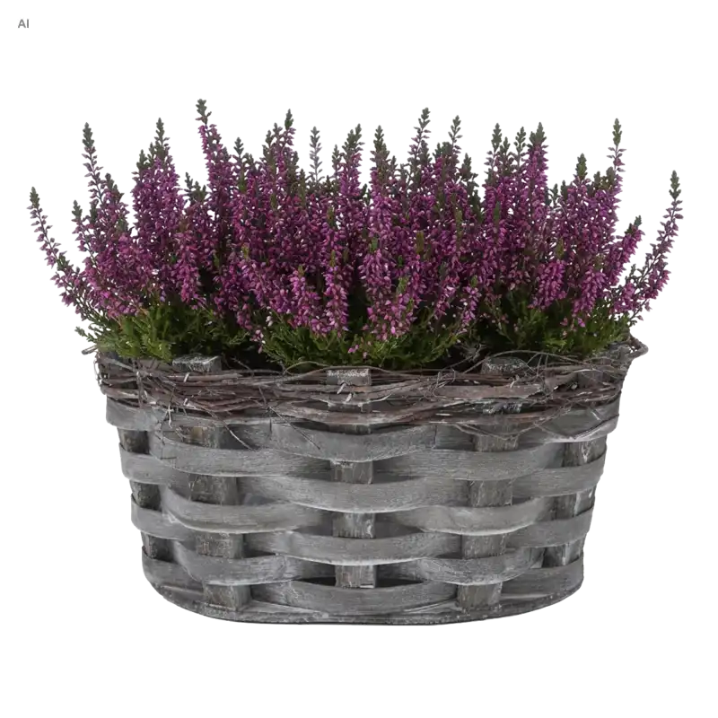 Owalna szara osłonka drewniana 30 cm z wrzosami