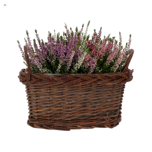 Brązowa owalna osłonka wiklinowa 30x15 cm z uszami wypełniona wrzosami w odcieniach różu.
