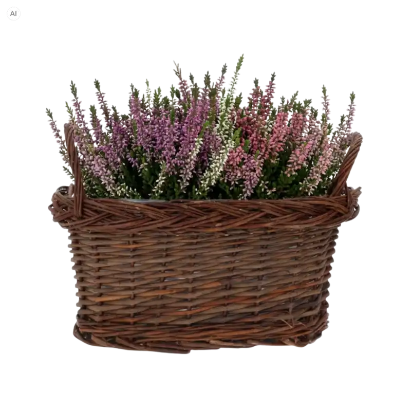 Brązowa owalna osłonka wiklinowa 30x15 cm z uszami wypełniona wrzosami w odcieniach różu.