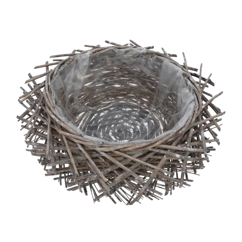 1 (1).png