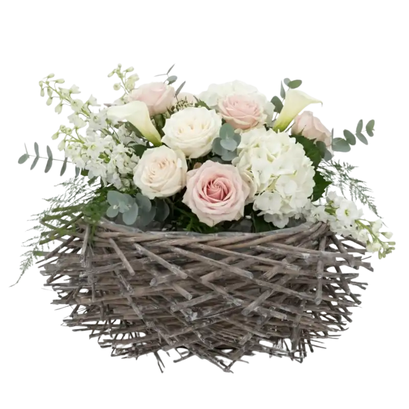 1 (2).png