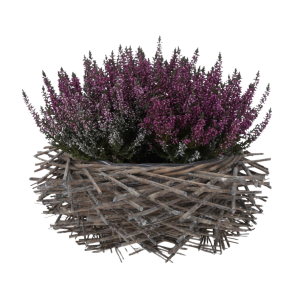 1 (3).png