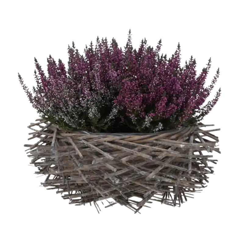 1 (3).png