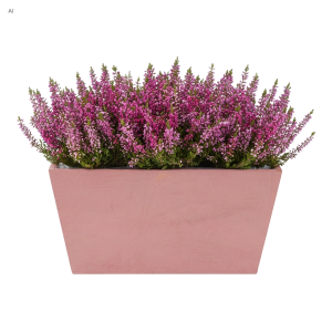 Różowa drewniana skrzynka na kwiaty 20x12x10 cm wypełniona gęstym wrzosem w odcieniach fioletu i różu