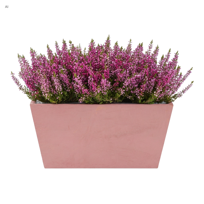Różowa drewniana skrzynka na kwiaty 20x12x10 cm wypełniona gęstym wrzosem w odcieniach fioletu i różu