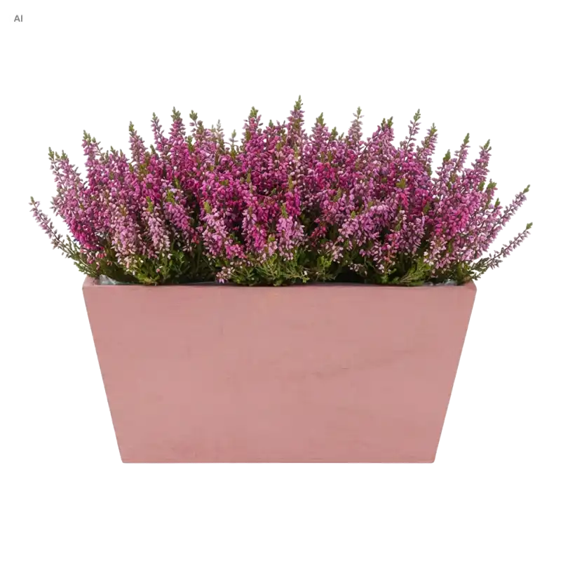 Różowa drewniana skrzynka na kwiaty 20x12x10 cm wypełniona gęstym wrzosem w odcieniach fioletu i różu
