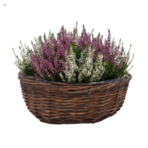 Okrągła brązowa osłonka wiklinowa o średnicy 35 cm z folią, wypełniona bujnymi wrzosami.