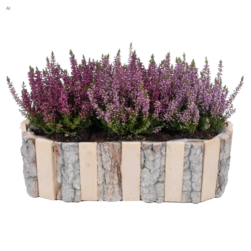 Owalna drewniana osłonka z korą 35 cm wypełniona wrzosami