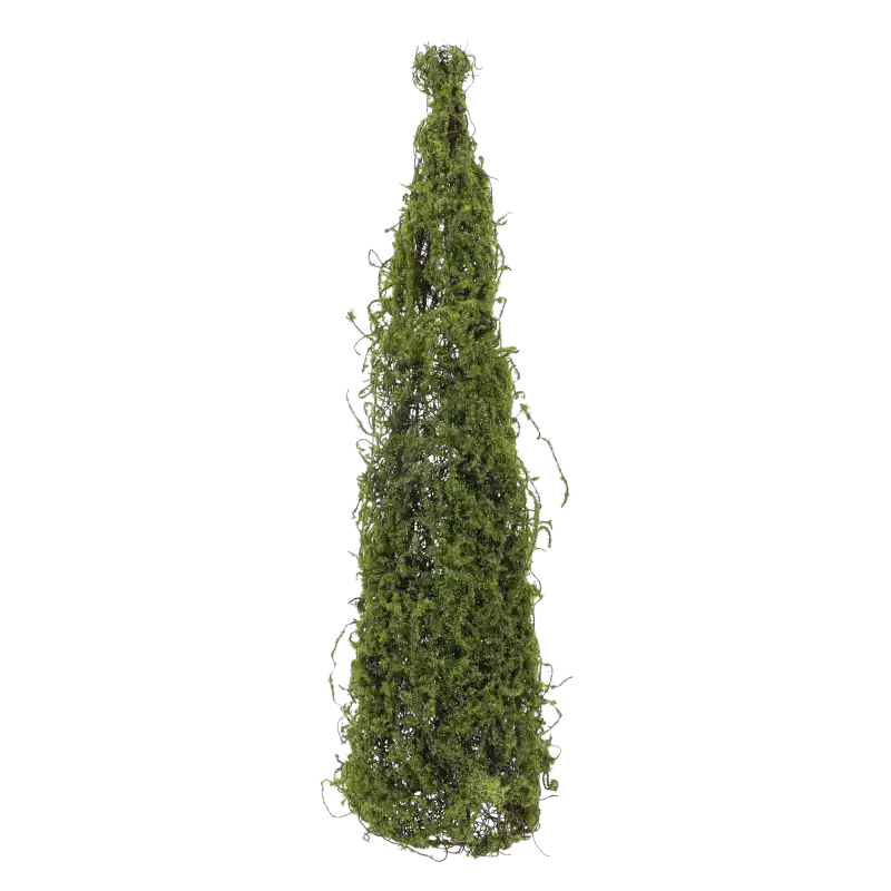 Zielony stożek z mchu o wysokoci 63 cm na białym tle.