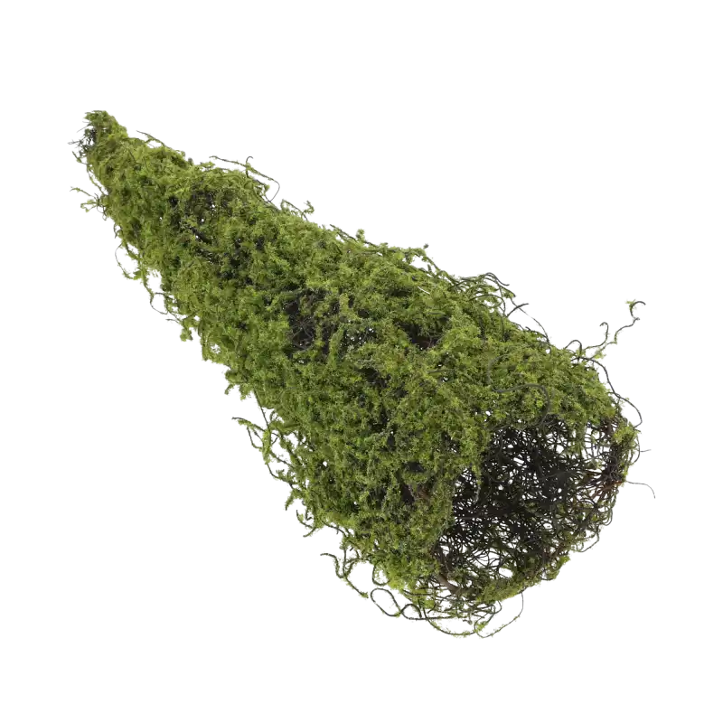 Zielony stożek z mchu 63x15 cm sfotografowany pod kątem ukośnym na białym tle.