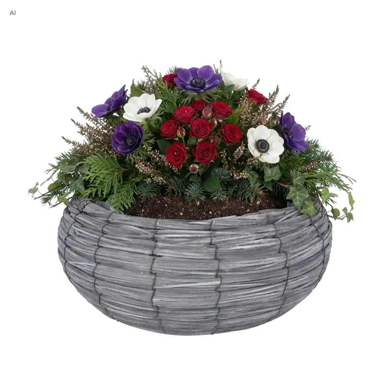 Szara pleciona osłonka na kwiaty L 42 cm wypełniona bujną kompozycją z czerwonych róż, fioletowych i białych anemonów oraz igliwia.